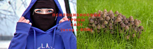 тгк Балабаново