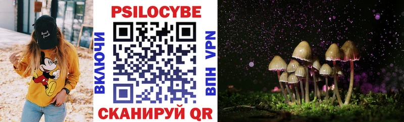 Купить где Верхняя Салда Псилоцибиновые грибы Cubensis